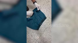 Customs officials seize gold paste concealed in undergarment at airport in Telangana, India