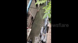 India: Record-Breaking Yamuna River Water Level Causes Flooding Across Delhi 2