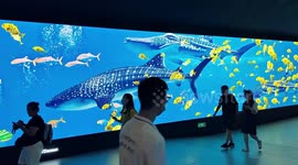 Citizens Pass A Video Advertisement on A Subway in Shanghai, China