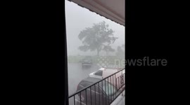 Violent gusts during storm in Montreal, Canada