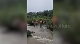 SDRF Rescues Trapped Cattle Amid Heavy Rainfall in Kangra, Himachal Pradesh, India