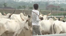 Nigerian president declares state of emergency over food security