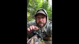 Coyote Puppies Yawn and Play