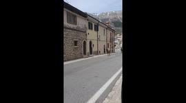 Deer Gallop Through Street