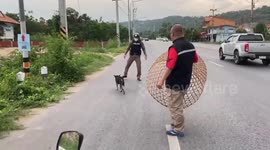 Kind policeman rescues injured dog struck by a car in Thailand