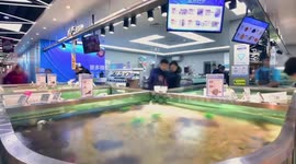 Int'l business leaders, experts optimistic about China's economy