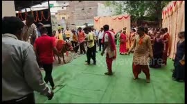 Unique Indian Rituals : Unique marriage of calves with vedic tradition organised by family after a member cured from cancer