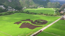 Wanfeng Forest Scenic Spot in Xingyi, China