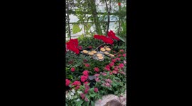 'UNREAL!' - Passenger showcases jaw-dropping attractions at the iconic Jewel Changi Airport (Singapore)