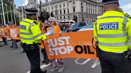 Just Stop Oil protesters swiftly removed outside Palace of Westminster in London