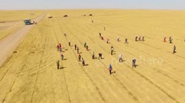 China's Inner Mongolia reports progress in sand control