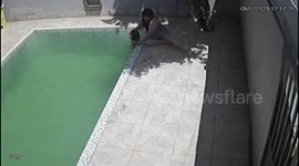 Child Falls In Pool After Grandma's Strength Fails