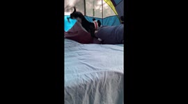 Puffin Loves Mattress Pops