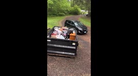 Bear Necessities: Dramatic dumpster heist caught on video!