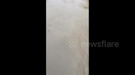 Japan: Emergency Safety Measures Issued For Akita As Major Flooding Hits Tohoku Region 5