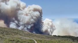Europe heatwave: Thousands evacuated as wildfires burn in La Palma, Spain