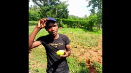 A Video of a Luo Man Explains How to Eat Mango in Luo Culture- Luo Version