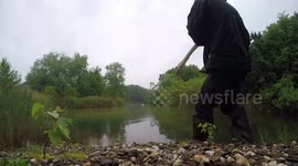 Swan Returned to His Partner After Two Weeks in the Rescue Center
