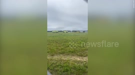 Passenger grabs controls and successfully crash-lands plane after pilot passed out
