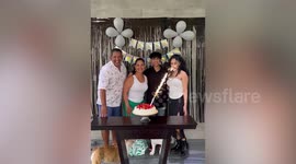 Clumsy pet bulldog ruins owner's cake after trying to climb table