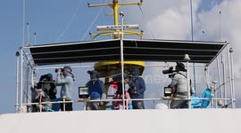 15 cetacean species recorded during survey in South China Sea