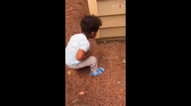 Curious 3 y/o boy grossed out by snail after touching its shell