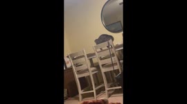 Cat Tries To Catch Something Stuck To Tail