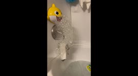 Baby and Dog Watch Bubble Machine During Bathtime