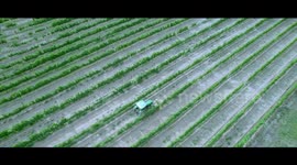 Green is Gold: China's green transformation