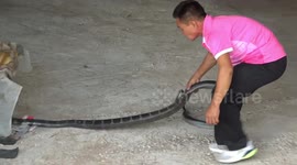 Veteran snake charmer retires from 30-year career to spend more time with his family