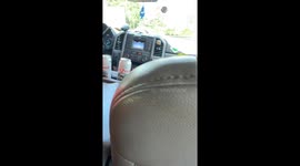 Horse Logo Has Too Many Legs