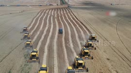 Türkiye's summer wheat harvest hampered by severe drought