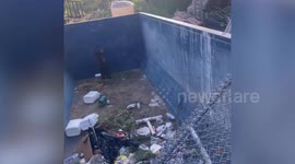 Bear cub trapped in dumpster while searching for food rescued by Colorado park rangers