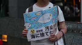 Japan's nuke wastewater discharge encouraged by U.S. to destabilize region: Turkish scholar