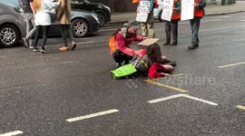 Furious driver attacks Lord's Just Stop Oil activist as tensions flare once again in London