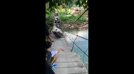 Near disaster at North Morowali's wooden bridge: motorbikes overload nearly causes collapse!