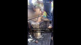 Pelican cooler surprisingly survives devastating truck fire