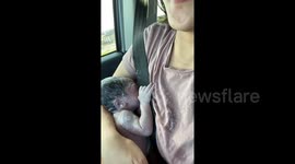 Baby on board! Woman delivers son in car on way to hospital