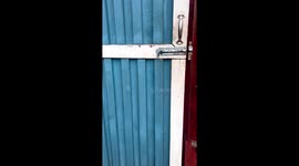 Strange scene as cat peacefully rests inside coup with chickens