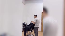 Pet cat wears glasses while sitting in barber's chair for a trim