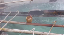 Scrambled delight: Tourists boil eggs in Thailand's hot springs