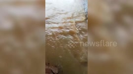 Flood gushes through villager's home in southern Thailand