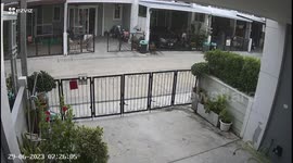 Adorable toddler opens and closes gate of home to meet neighbour