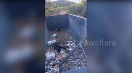 Baby bear rescued after being trapped in Denver dumpster