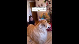 Playful dog loves popping bubbles to make little human laugh *Wholesome*