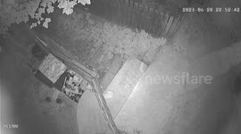 Bear Ransacks Garbage Bin in Romania