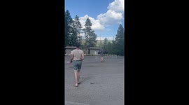 Guy Trapped in Bathroom by Bison