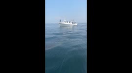 Boaters Spot Whale Shark Off Florida Coast