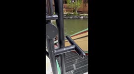 Bear Visitor At Breckenridge Restaurant