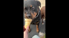 Vera Takes Susan's Ice Cream Cone